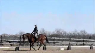 Deanna & Sissy Training Level 1 Champagne Run Feb 7th