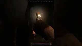 Это был не мой урон)) | Dungeonborne с помощью 