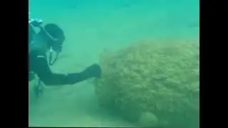Мина на Пляже! Крым. 