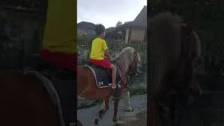 NAIK KUDA