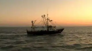 Cooking Fresh London Fish