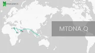MTDNA Q - DNAGENICS
