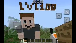 5 ВИДА LVL0 LVL1 LVL10 LVL100 LVL1000 ПОСТРОЙКИ