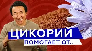 Цикорий - чудо-продукт, который тебя сильно удивит // 