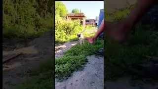 13 августа 2023 г.