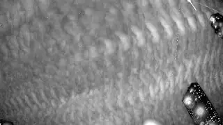 RMS BR0012 20240117 210544 066423 timelapse