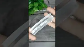 Красивый цветок 