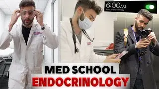 Embarking on Endocrinology: My Honest Reflections as a Medical Student