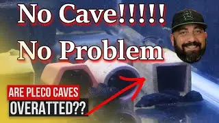 You Don't need a CAVE to SPAWN a PLECO (PROOF)