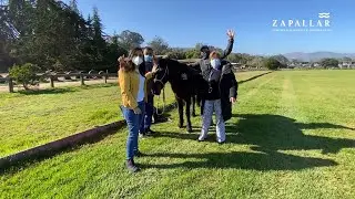 ZAPALLAR INFORMA🔊 - HIPOTERAPIA