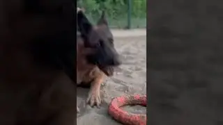 Из старенького. Наша Фина ;