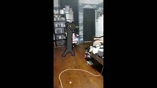 Toothless dancing Comes to real life
