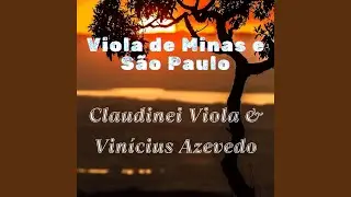 Galinha D'angola (Tô Fraco, Tô Fraco)