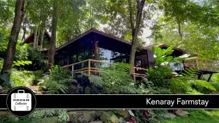 Kenaray Farmstay | Ep.5 Dream Collector