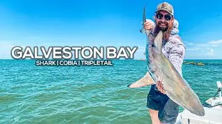 Saltwater Fishing Galveston Bay | Shark, Cobia, Tripletail | Texas Gulf Coast Fishing