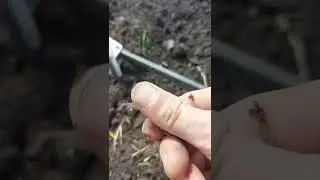 Что за Артефакт ? коп с металлоискателем xp deus