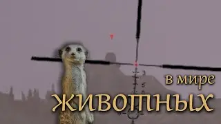 Сурикаты на выносе | STALCRAFT