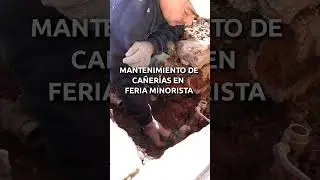 CONTINÚAN LAS OBRAS EN EL MERCADO CENTRAL DE BUENOS AIRES