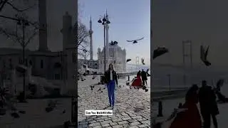 Beşiktaş , Ortaköy Mosque Istanbul Turkey 4k #walk #tour4k #walkingtour #shorts #travel #istanbul #r