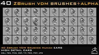 40 Zbrush VDM Human Ears brushes