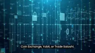 How To Buy Miami Coin?