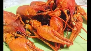 Раки! Как я варю раков дома🦐🦐🦐 Раки забава для детей!