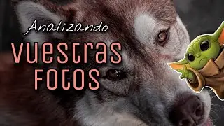 ANALIZANDO VUESTRAS FOTOS 