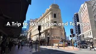 A Trip to Wellington and Te Papa | City walk, Shopping, Food, National Museum
