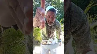 trabalho para osá