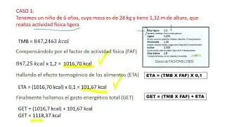 Cálculo del gasto energético total