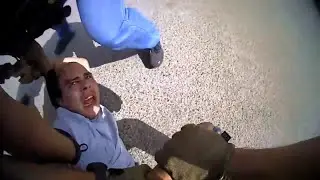 Vehicle Thief Starts Whining And Crying While Being Arrested