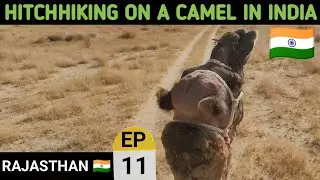 Amazing Life In The Thar Desert Of India | Sipla Village 🇮🇳