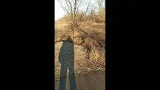 Футбол