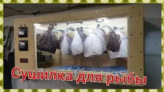 Do-it-yourself dryer for fish, vegetables and mushrooms. Automatic, with temperature control.