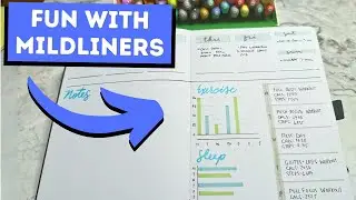 Why I LOVE Zebra Mildliners In My Bullet Journal