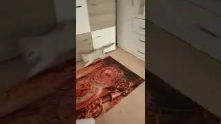 Zaha vurdu gol oldu 😻