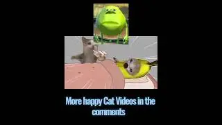Banana Cat got Robbed Part 1 #shorts