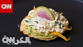 كافيار الصحراء في المكسيك من بيض النمل