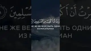 Коран #quraan #islamic #islam #quran #коран #ислам