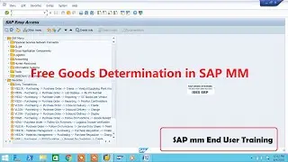 Free Goods Determination in SAP MM