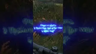 Стоит ли играть в TheHunter: Call of the Wild в 2021 году ?