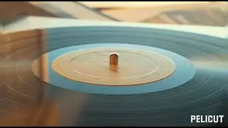 Релаксная музыка/пластинка