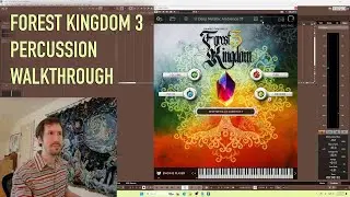 Forest Kingdom 3 - New Engine Player - Percussion - Best Service  - Walkthrough