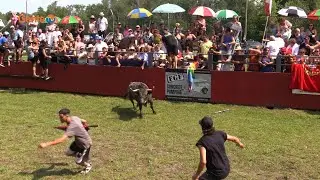 Festa Brava - Picnic, Toiros e Musica com Gente da Nossa no Madeira Park