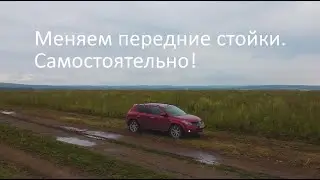 HOW TO REPLACE FRONT STRUTILITIES ON A NISSAN MURANO?