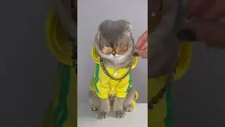 😎