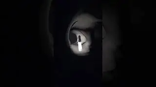 Ghost in the forest...