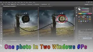 How to Open Two windows For One Photo | 1 Photo 2 Windows