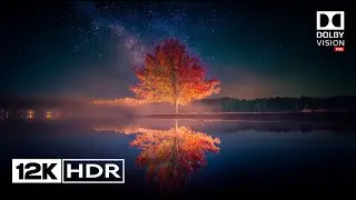 12K HDR Dolby Vision Masterpiece | Cinematic Ultra HD Showcase