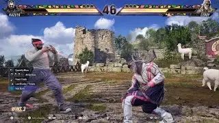 Kazuya vs Leroy